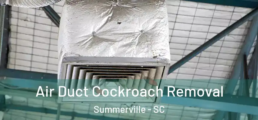 Air Duct Cockroach Removal Summerville - SC