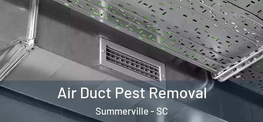 Air Duct Pest Removal Summerville - SC