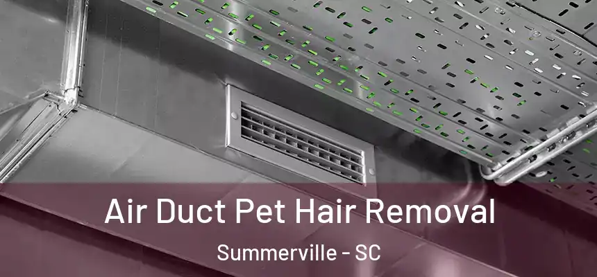  Air Duct Pet Hair Removal Summerville - SC