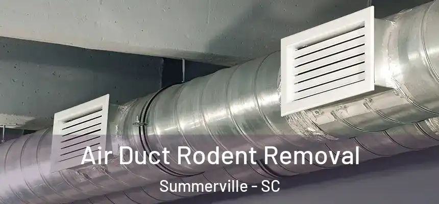 Air Duct Rodent Removal Summerville - SC