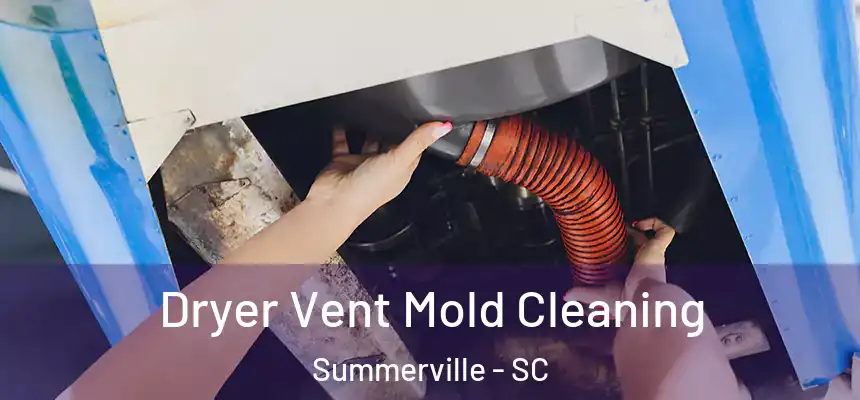 Dryer Vent Mold Cleaning Summerville - SC