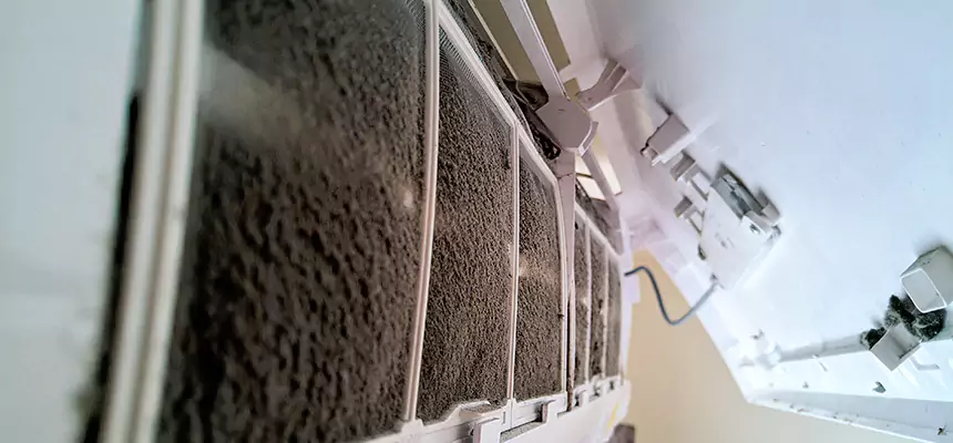 Preventive Air Duct Bacteria Removal in Summerville