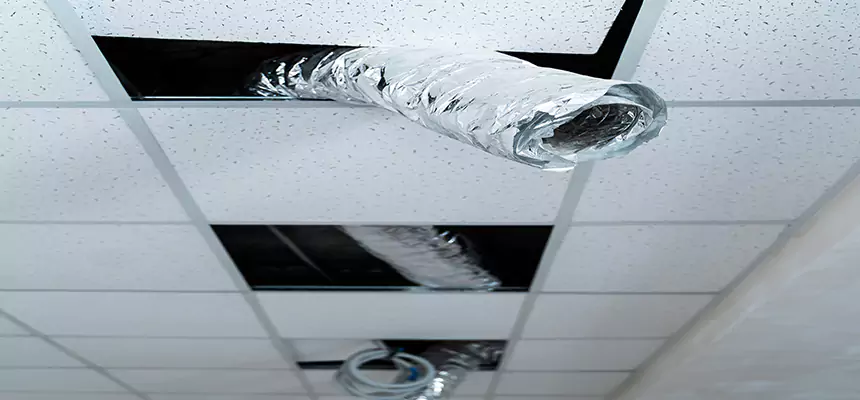 Our Air Duct Pet Hair Removal Services in Summerville, SC