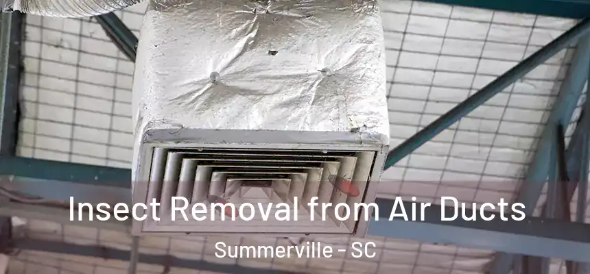 Insect Removal from Air Ducts Summerville - SC