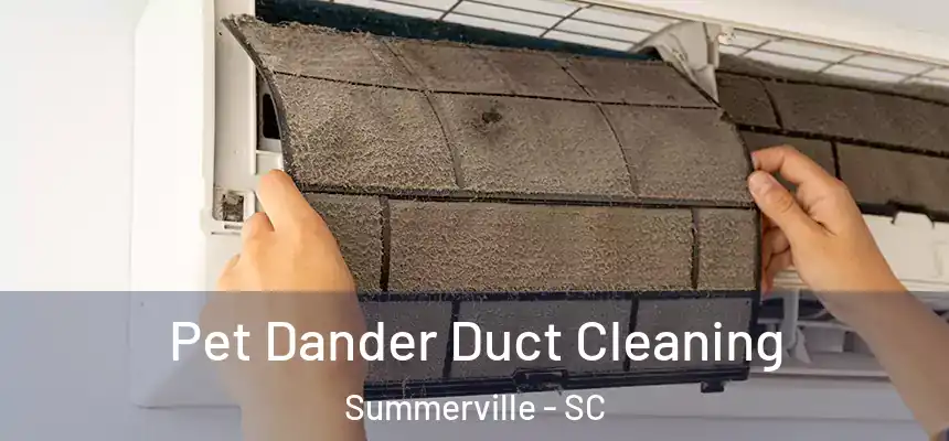Pet Dander Duct Cleaning Summerville - SC