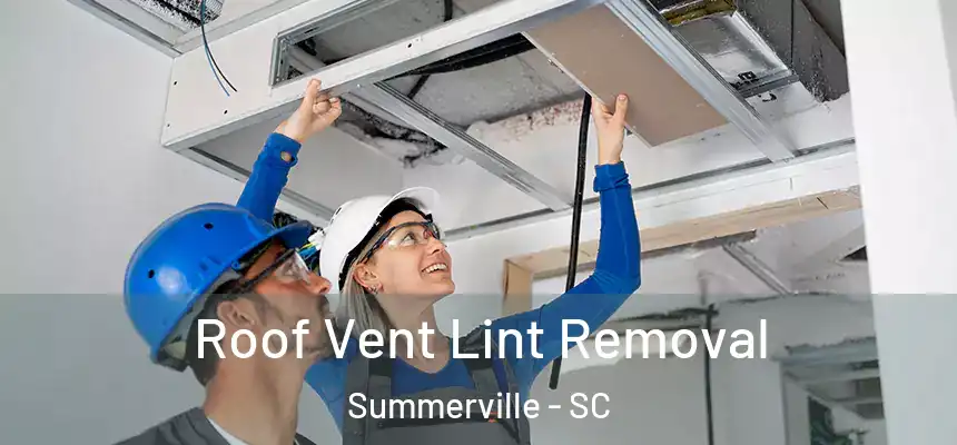 Roof Vent Lint Removal Summerville - SC