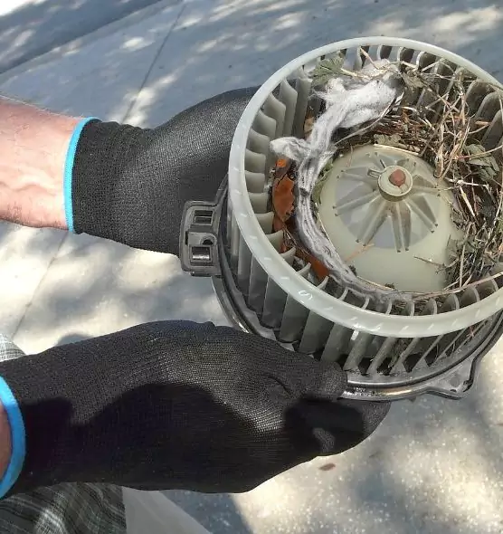 About Air Duct Mice Removal in Summerville, SC