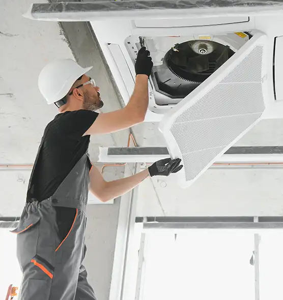 About Air Duct Rodent Removal in Summerville, SC