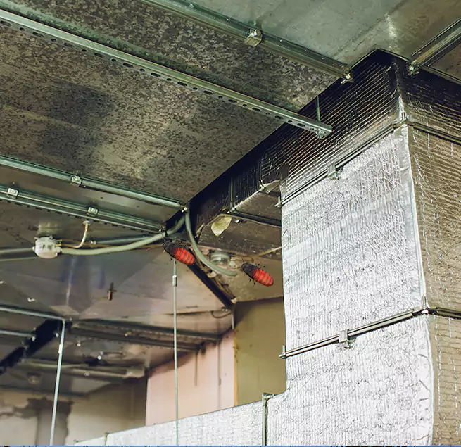 Why Homeowners & Businesses Trust Us in Summerville, SC?