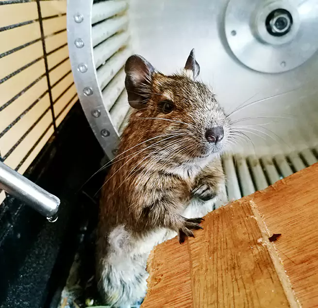 Why Homeowners & Businesses Trust Us Summerville, SC?