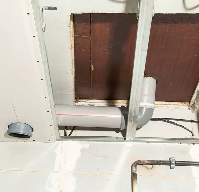 Why Homeowners & Businesses Trust Us in Summerville, SC?