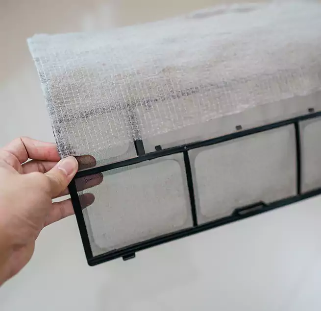 Why Homeowners & Businesses Trust Us in Summerville, SC?