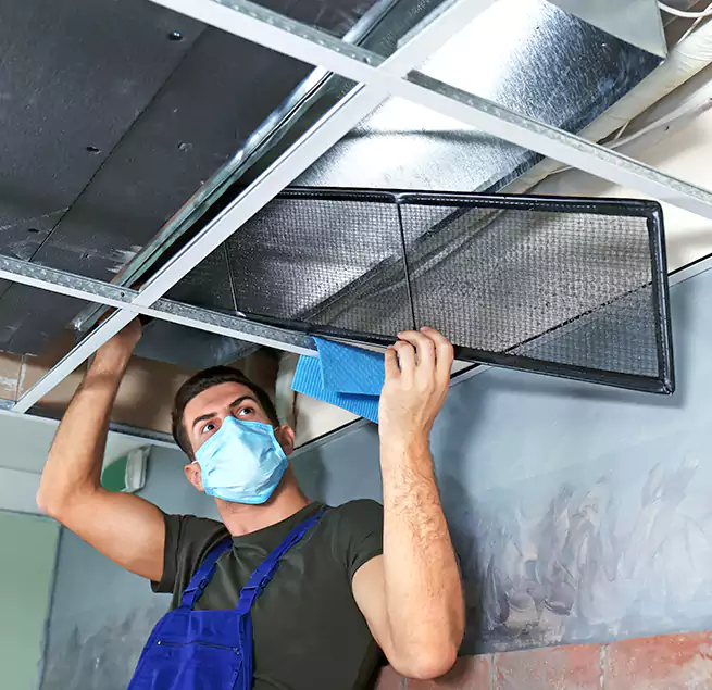 Why Homeowners Businesses Trust Us in Summerville, SC